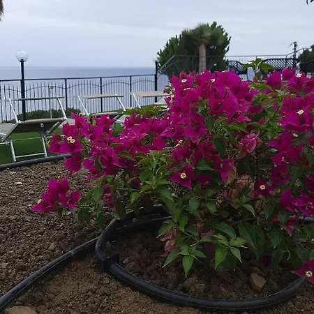 Villa Matilde Sanremo Exterior foto